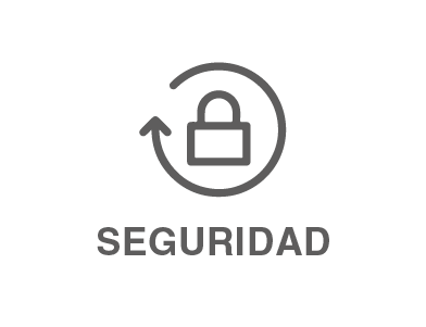 seguridad